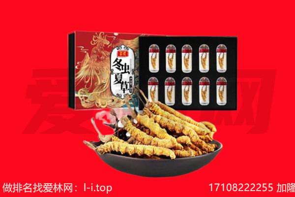 武汉汉阳区回收虫草.jpg